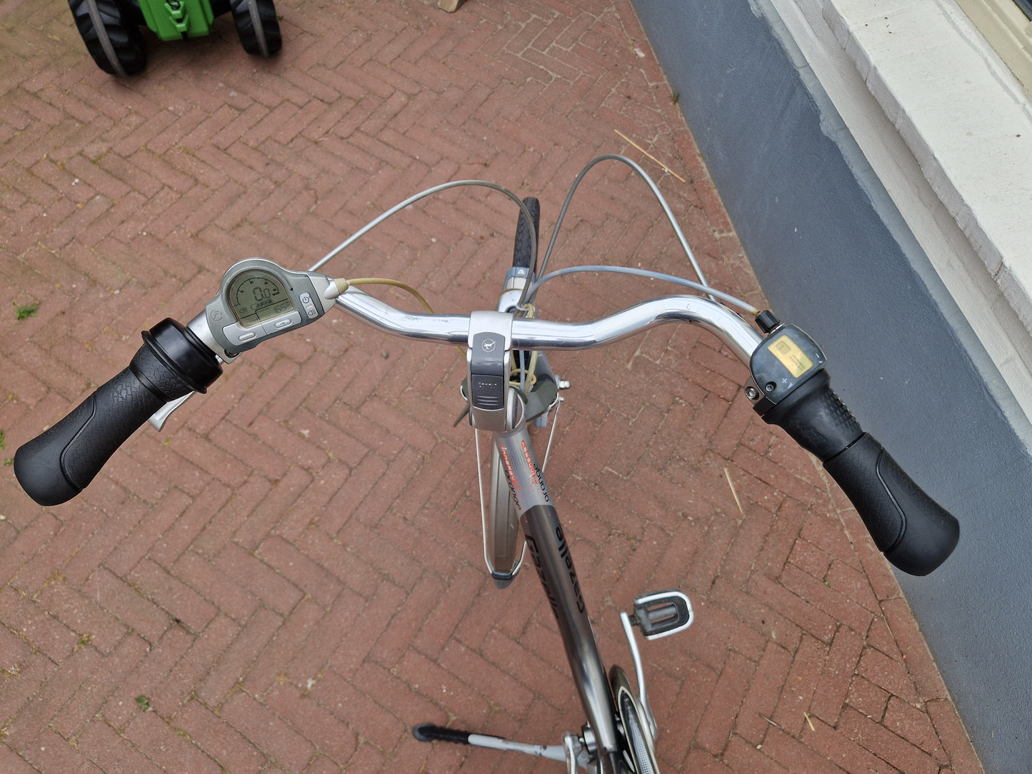 Gazelle Orange NR:4
