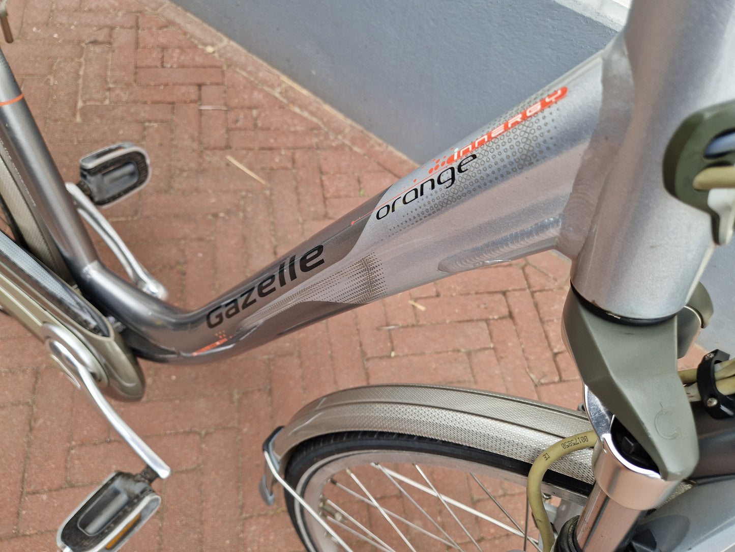 Gazelle Orange NR:4